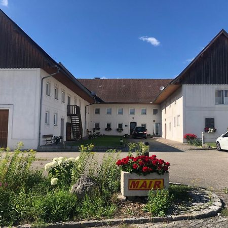 Babsi Appartments- leben am Land Wels Bagian luar foto