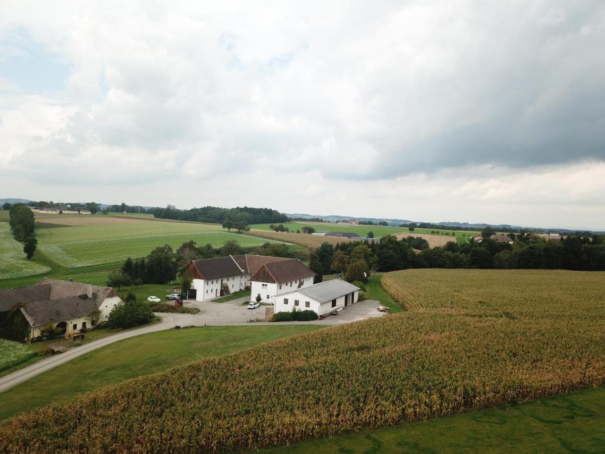 Babsi Appartments- leben am Land Wels Bagian luar foto