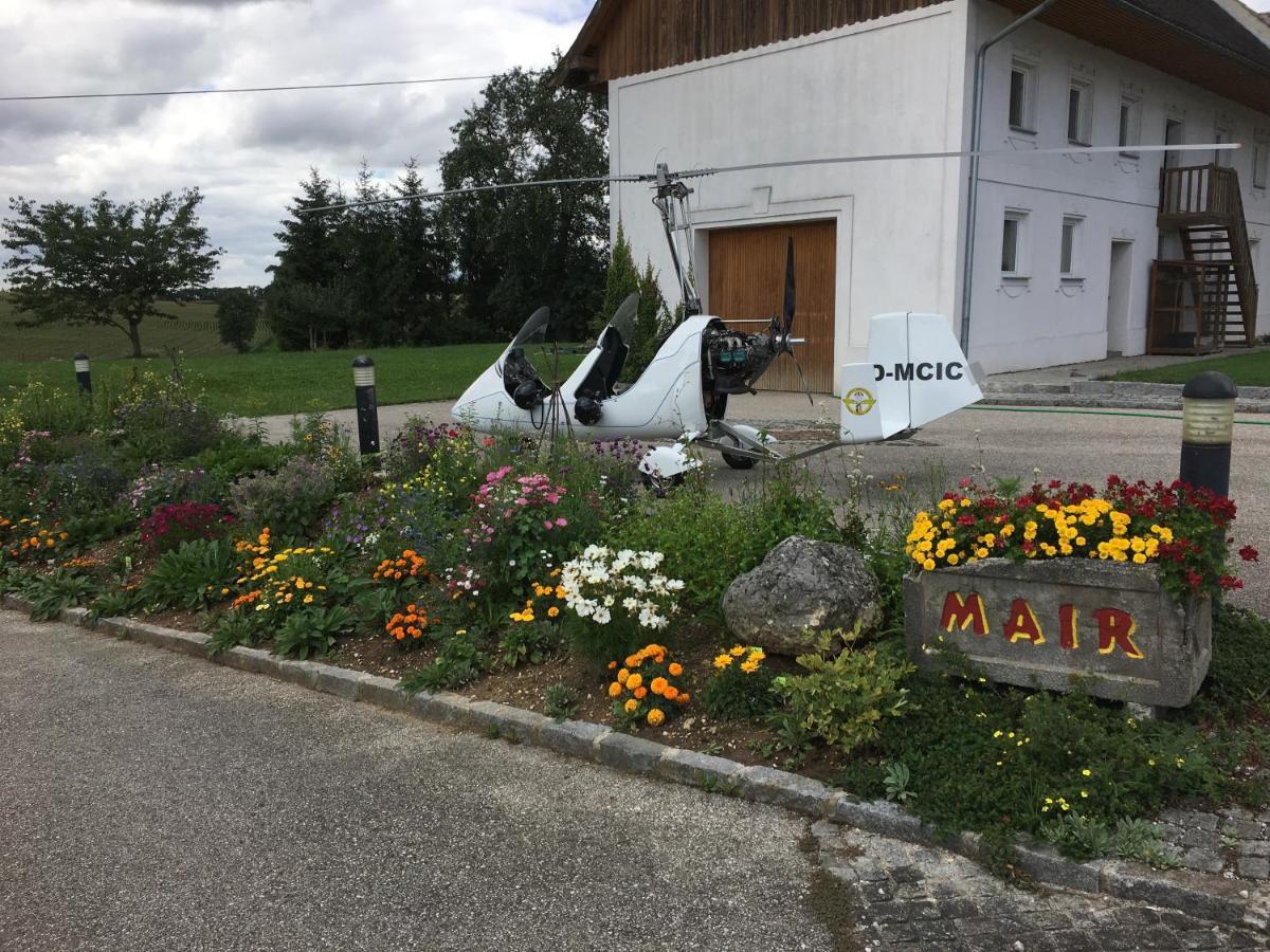 Babsi Appartments- leben am Land Wels Bagian luar foto